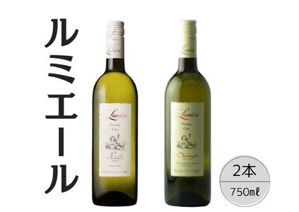 ルミエール　プレステージクラス　ミルズ・オランジェ2本セット 167-116