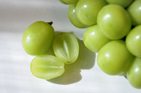 【2026年発送★先行予約】笛吹市産　厳選シャインマスカット［3.0kg］（5～6房）フルーツ大国！山梨県笛吹市より産地直送 209-006-26y OUTTA REACH JAPAN