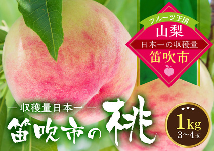 【2026年発送★先行予約】 桃の一大産地!笛吹市産旬の桃約1kg 167-164