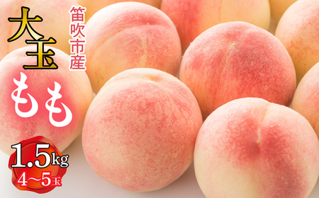 【2026年発送★先行予約】 笛吹市産　大玉もも　1.5kg(4～5玉) 227-007
