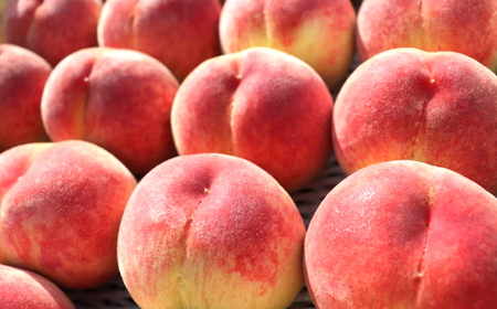 【2026年発送★先行予約】 笛吹市産　大玉もも　3.0kg(8～10玉) 227-009-26y