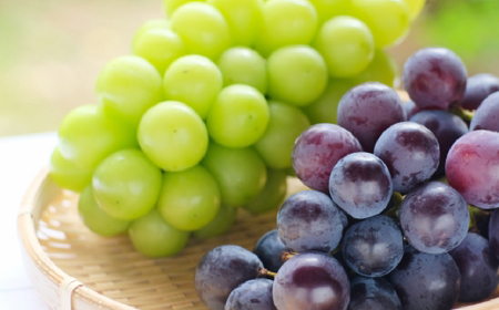 【2026年発送★先行予約】笛吹市産　大粒ｼｬｲﾝﾏｽｶｯﾄ・巨峰セット(2房)　1.0㎏ 227-016-26y