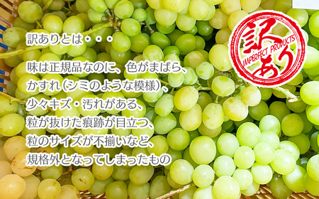 【2026年発送★先行予約】【訳あり品】山梨県産シャインマスカット2房~4房(合計1kg程度) 229-009-26y