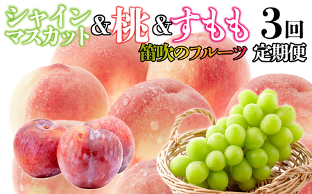 笛吹のフルーツ【3回定期便】　桃＆すもも＆シャインマスカット 126-027 | 詰合せ フルーツ シャインマスカット 定期便 スモモ フルーツセット 桃 シャインマスカット もも 山梨 シャイン  果物