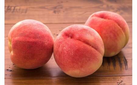 【2026年発送★先行予約】目利きが選ぶ！笛吹産桃 1.4kg以上（5～8玉） 168-101-26y