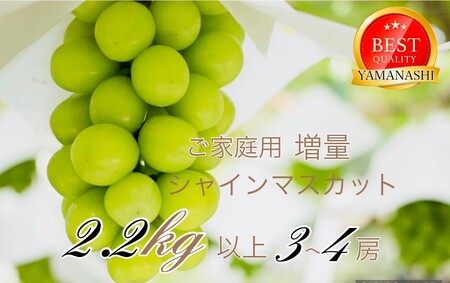 【2026年発送★先行予約】ご家庭用シャインマスカット2.2kg以上（3～4房） 111-021　111-021-26y | 人気シャインマスカット 山梨産シャインマスカット 高評価シャインマスカット シャインマスカットランキング おすすめシャインマスカット |