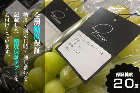 【2026年発送★先行予約】【全房糖度20度保証付】シャインマスカット 約2.1kg 2～5房/日テレ「ZIP!」TBS「ひるおび」にて紹介！美味しいフルーツだけをお届け【ルッチ Rucci】産地直送 山梨県 笛吹市 果物 葡萄 ぶどう 贈答 人気 ギフト プレミアム 高級 令和8年 先行予約 104-042-FN