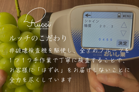 【2026年発送★先行予約】【全房糖度20度保証付】シャインマスカット 約2.1kg 2～5房/日テレ「ZIP!」TBS「ひるおび」にて紹介！美味しいフルーツだけをお届け【ルッチ Rucci】産地直送 山梨県 笛吹市 果物 葡萄 ぶどう 贈答 人気 ギフト プレミアム 高級 令和8年 先行予約 104-042-FN