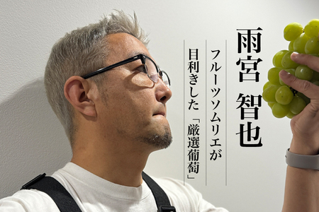 【2026年発送★先行予約】【全房糖度20度保証付】シャインマスカット 約2.1kg 2～5房/日テレ「ZIP!」TBS「ひるおび」にて紹介！美味しいフルーツだけをお届け【ルッチ Rucci】産地直送 山梨県 笛吹市 果物 葡萄 ぶどう 贈答 人気 ギフト プレミアム 高級 令和8年 先行予約 104-042-FN