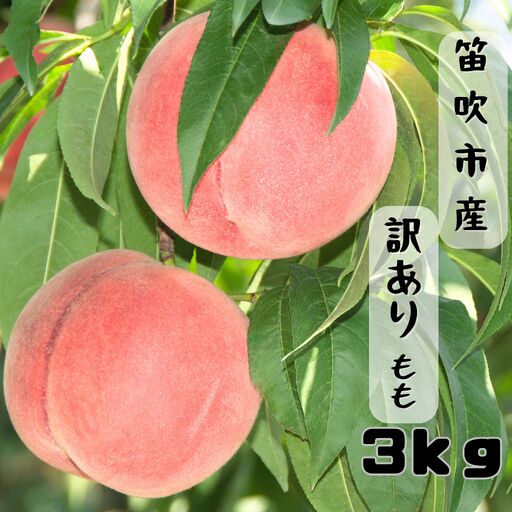 【2026年発送★先行予約】笛吹市産訳あり桃 約3kg 167-026-26y ※東北、関東、信越、中部のみ発送