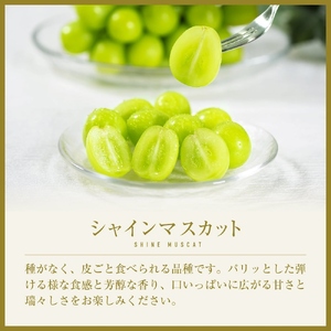 【2026年発送★先行予約】山梨県笛吹市の旬の採れたてシャインマスカット　秀等品　約1.2kg(2房～3房) 105-006-26y