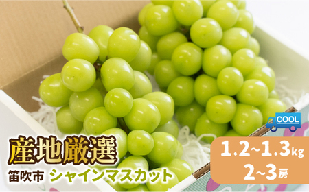 【2026年発送★先行予約】【土日祝配送】産地厳選シャインマスカット1.2kg～1.3kg（2房～3房）※沖縄・離島配送不可※ 106-003-sku02-26y シャインマスカット 発送 笛吹市 山梨県 フルーツ 果物 ぶどう 葡萄 大粒 おすすめ 贈答 ギフト 産地 笛吹 国産 人気 1.2kg 先行