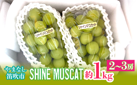 【2026年発送★先行予約】シャインマスカット約1kg（2-3房入） 214-004-26y