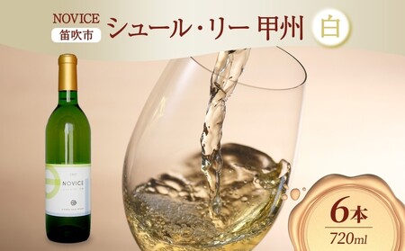 白ワイン NOVICEノヴィス シュール・リー 甲州 720ml×6本 フルボトル 辛口 日川中央葡萄酒 山梨県 笛吹市 177-7-29