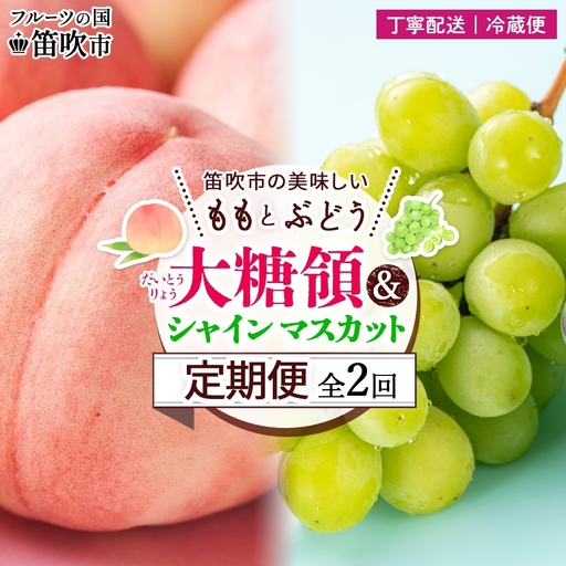 【2026年発送★先行予約】定期便全2回 桃 秀品 1.5kg 大糖領 シャインマスカット 1房 600g クール便 177-020-26y