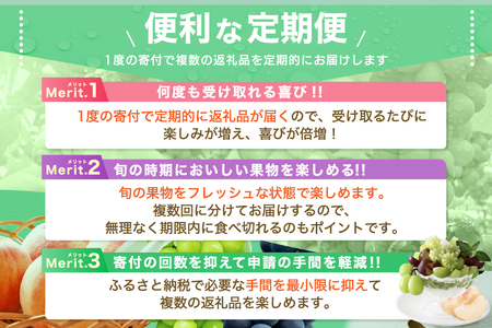 【2026年発送 先行予約】2回定期便 旬のフルーツ定期便（種無し黒葡萄1房・シャインマスカット1房）180-023-26y