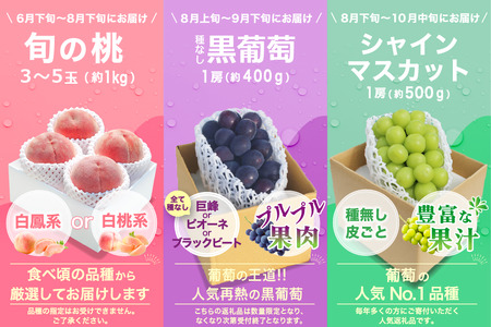 【2026年発送 先行予約】3回定期便 旬のフルーツ定期便（桃1㎏・種無し黒葡萄1房・シャインマスカット1房）180-025-26y