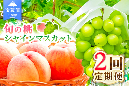 【2026年発送 先行予約】2回定期便 旬のフルーツ定期便（桃2㎏・シャインマスカット2～3房）180-006-26y