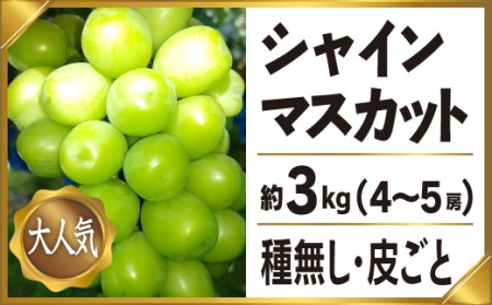 C0-022 笛吹市産シャインマスカット4-5房約3.0㎏