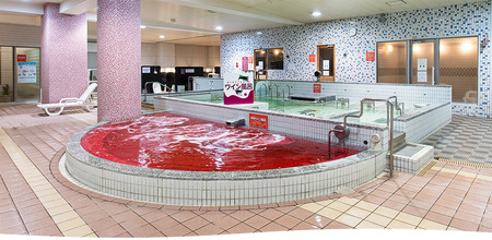 スパランド ホテル内藤 入館券 8回分 254-002