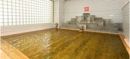 スパランド ホテル内藤 入館券 8回分 254-002