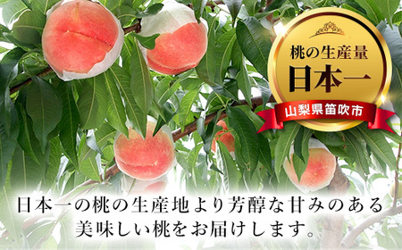 2024年先行予約＞山梨県産 桃 2㎏ 5～8玉 笛吹市 朝獲り 新鮮 もも