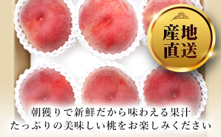 ＜2024年先行予約＞山梨県産 桃 2㎏ 5～8玉 笛吹市 朝獲り 新鮮 もも モモ 産地直送 ※常温発送 ※沖縄県・離島には配送できません 126-001  | 桃 もも モモ ピーチ 2kg 2キロ 果物 くだもの フルーツ 山梨県産 山梨県 山梨 笛吹市 笛吹 2024 先行 予約 新鮮 朝採り 桃 もも モモ ピーチ 2kg 2キロ 果物 くだもの フルーツ 山梨県産 山梨県 山梨 笛吹市 笛吹 2024 先行 予約 新鮮 朝採り　桃 もも モモ ピーチ 2kg 2キロ 果物 くだもの フルーツ 山梨県産 山梨県 山梨 笛吹市 笛吹 2024 先行 予約　新鮮 朝採り 桃 もも モモ ピーチ 2kg 2キロ 果物 くだもの フルーツ 山梨県産 山梨県 山梨 笛吹市 笛吹 2024 先行 予約　新鮮 朝採り 桃 もも モモ ピーチ 2kg 2キロ 果物 くだもの フルーツ 山梨県産 山梨県 山梨 笛吹市 笛吹 2024 先行 予約　新鮮 朝採り 桃 もも モモ ピーチ 2kg 2キロ 果物 くだもの フルーツ 山梨県産 山梨県 山梨 笛吹市 笛吹 2024 先行 予約 新鮮 朝採り　桃 もも モモ ピーチ 2kg 2キロ 果物 くだもの フルーツ 山梨県産 山梨県 山梨 笛吹市 笛吹 2024 先行 予約 新鮮 朝採り 桃 もも モモ ピーチ 2kg 2キロ 果物 くだもの フルーツ 山梨県産 山梨県 山梨 笛吹市 笛吹 2024 先行 予約 新鮮 朝採り　桃 もも モモ ピーチ 2kg 2キロ 果物 くだもの フルーツ 山梨県産 山梨県 山梨 笛吹市 笛吹 2024 先行 予約　新鮮 朝採り 桃 もも モモ ピーチ 2kg 2キロ 果物 くだもの フルーツ 山梨県産 山梨県 山梨 笛吹市 笛吹 2024 先行 予約　新鮮 朝採り 桃 もも モモ ピーチ 2kg 2キロ 果物 くだもの フルーツ 山梨県産 山梨県 山梨 笛吹市 笛吹 2024 先行 予約　新鮮 朝採り 桃 もも モモ ピーチ 2kg 2キロ 果物 くだもの フルーツ 山梨県産 山梨県 山梨 笛吹市 笛吹 2024 先行 予約 新鮮 朝採り　桃 もも モモ ピーチ 2kg 2キロ 果物 くだもの フルーツ 山梨県産 山梨県  |