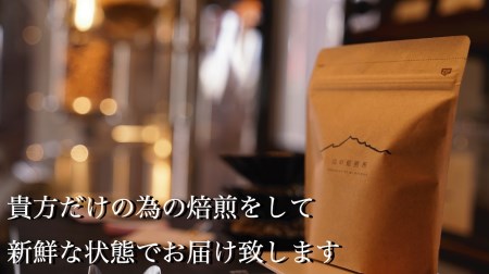 【山の焙煎所】スペシャルティコーヒー160g×2種：粉　中煎り