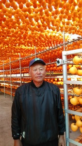 【2026年発送★先行予約】甲州百目のあんぽ柿　大サイズ 　9個入り 088-005-26y