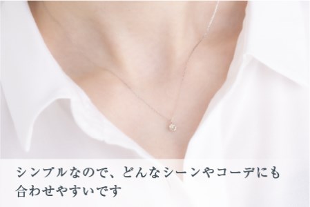 プラチナ 一粒 ダイヤモンドネックレス 誕生日 ジュエリー 女性 宝石 ペンダント プレゼント クリスマス 山梨県笛吹市 ふるさと納税サイト ふるなび