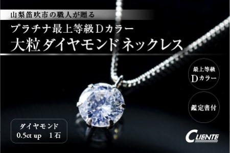 プラチナ 最上等級 Dカラー 大粒 ダイヤモンド ネックレス ジュエリー アクセサリー 数量限定