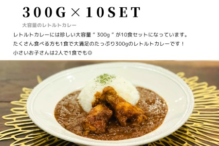 【キャンプカレー】大容量300gのレトルトカレー10食セット！ホロホロの大きな手羽元が2本も入って食べ応え抜群！