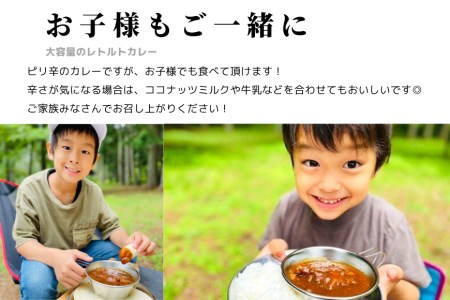 【キャンプカレー】大容量300gのレトルトカレー10食セット！ホロホロの大きな手羽元が2本も入って食べ応え抜群！