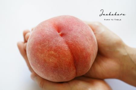 【2026年発送★先行予約】【笛吹市産】Inakakara  一宮町の桃 ファーストクラス 4玉(約1.6kg) 192-009