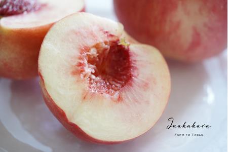 【2026年発送★先行予約】【笛吹市産】Inakakara  一宮町の桃 ファーストクラス 4玉(約1.6kg) 192-009