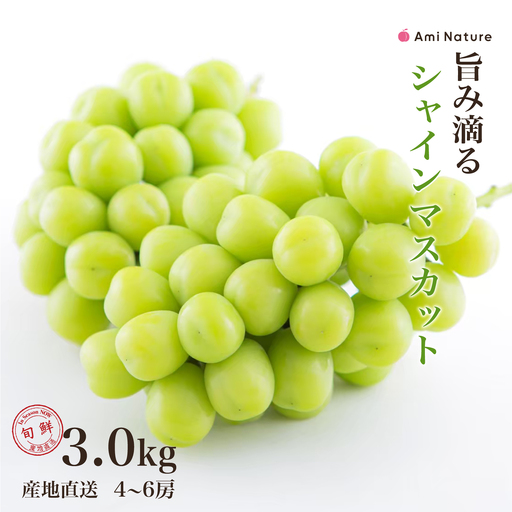 【2026年発送★先行予約】さわやかに滴るシャインマスカット 約3.0kg以上 065-022-26y