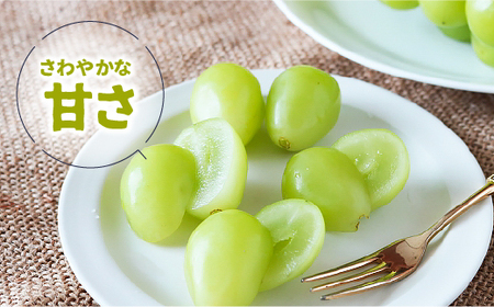 【2026年発送★先行予約】産地厳選シャインマスカット2.2kg（3房～5房）106-004-26y