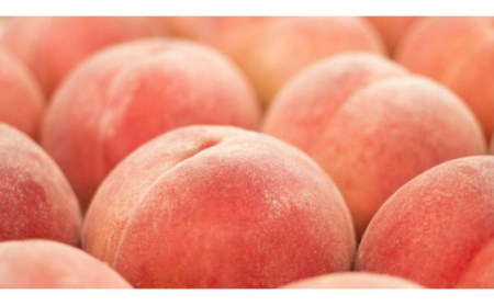 【2026年発送★先行予約】産地厳選日本一笛吹市の桃2kg以上（6玉～10玉） 106-007