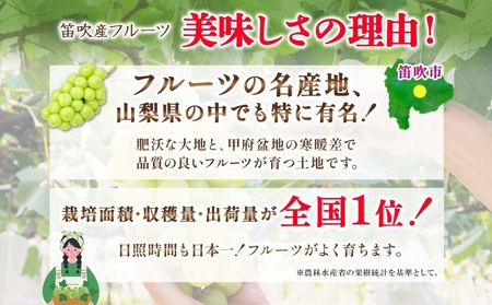 【2026年発送★先行予約】シャインマスカット 2房 1.2kg前後※クール便配送 177-009-26y