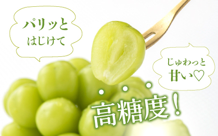 【2026年発送★先行予約】厳選！山梨県笛吹市産 シャインマスカット 約2.0kg（3～4房） 156-001-26y