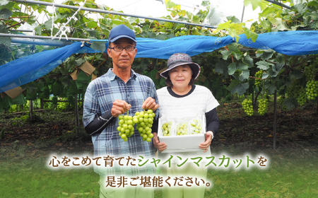 【2026年発送★先行予約】厳選！山梨県笛吹市産 シャインマスカット 約2.0kg（3～4房） 156-001-26y
