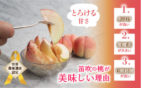 【2026年発送★先行予約】厳選！山梨県笛吹市産桃 約3kg（8～12玉） 156-002