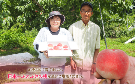 【2026年発送★先行予約】厳選！山梨県笛吹市産桃 約3kg（8～12玉） 156-002