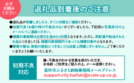 厳選！山梨県笛吹市産桃 約2kg（5～8玉） 156-003