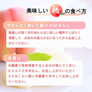 ＜25年発送先行予約＞厳選!!池田青果の桃　2kg　5～8玉 173-004