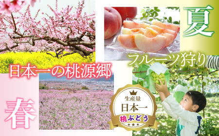 ふるさと納税石和温泉利用券＜利用券150,000円分＞ 038-010 山梨県 笛吹市 いさわ ホテル 旅館 宿泊券 観光 旅行 果物狩り フルーツ ワイン ワイナリー 登山 ぶどう 桃 ブドウ 葡萄 ブドウ狩り 桃狩り クーポン トラベル 富士山 河口湖 山中湖 八ヶ岳 富士五湖 温泉旅館 アウトドア グルメ レジャー リゾート アクティビティ