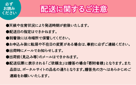 【2026年発送★先行予約】 巨峰 2～3房 約1.2kg 154-026-26y | フルーツ 果物 高評価 人気 ランキング おすすめ 甘い 美味しい デザート 数量限定 送料無料 山梨県産 笛吹市 ぶどう 「販売」 KEIPE株式会社