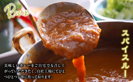 アレンジして楽しむジョイアルスパイスカレー 118-005