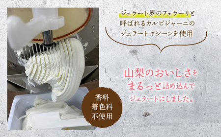 山梨のおいしさまるっと！ジェラート（6種セット）桃・ぶどう・いちご・ミルク・いちじく・ころ柿 201-001
