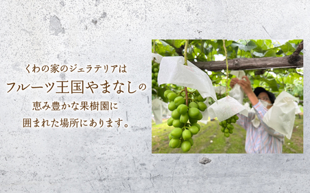 山梨のおいしさまるっと！ジェラート（6種セット）桃・ぶどう・いちご・ミルク・いちじく・ころ柿 201-001